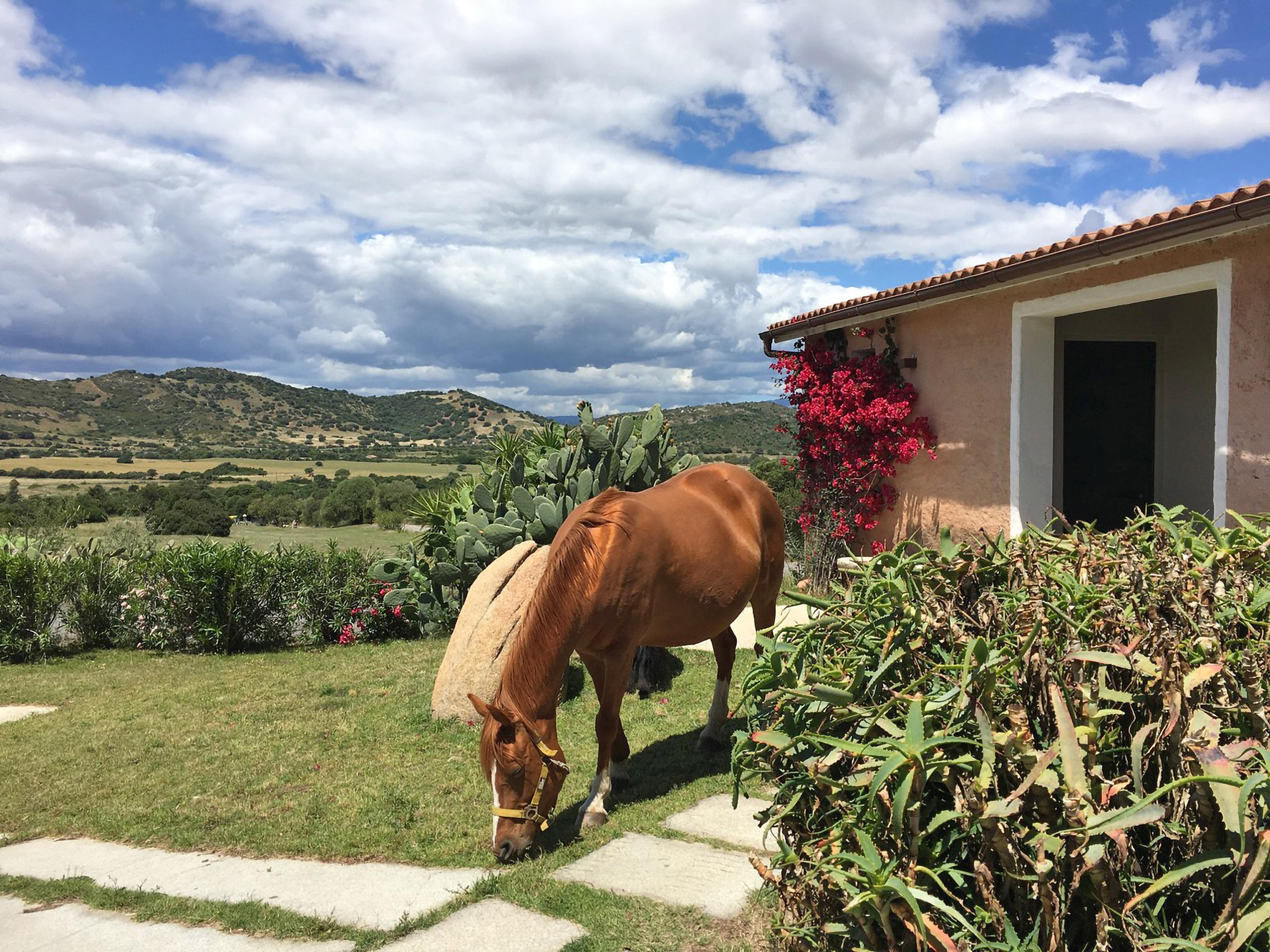 Borgo Di Campagna Hotel ปอร์โตซานเปาโล ภายนอก รูปภาพ